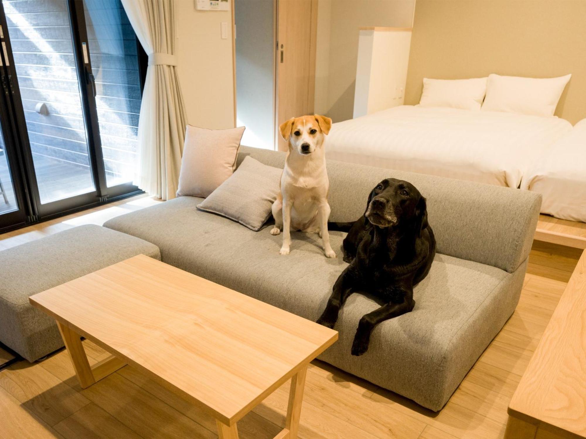 Rakuten Stay Nikko Hoden Capacity Of 4 Persons Exterior foto